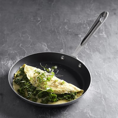 https://www.williams-sonoma.com/wsimgs/ab/images/dp/wcm/202340/0011/all-clad-d5-stainless-steel-nonstick-omelette-pan-m.jpg