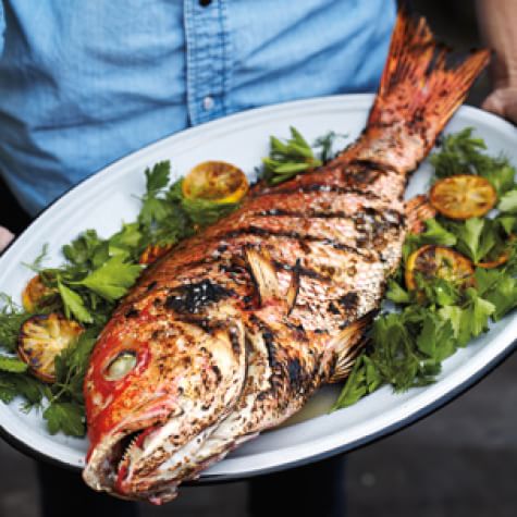 Grilled Whole Fish  Williams Sonoma